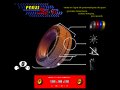 Aper�u de : Pneus Sport