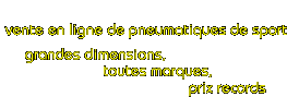 PNEUS-SPORT : vente en ligne de pneumatiques de sport (grandes dimensions, toutes marques, prix records)